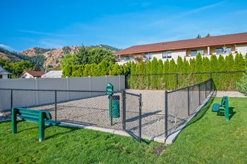 Dog park
